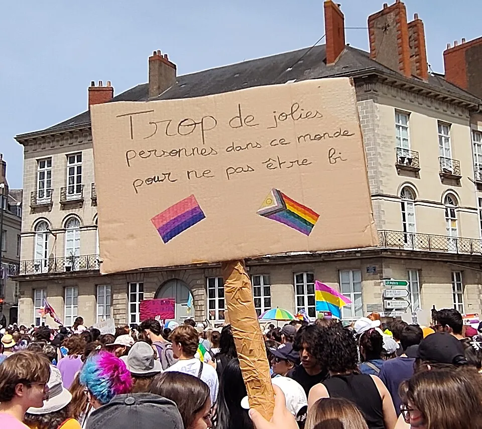 Protest sign reading “Trop de jolies personnes dans ce monde pour ne pas être bi”, photographed in Nantes, France.