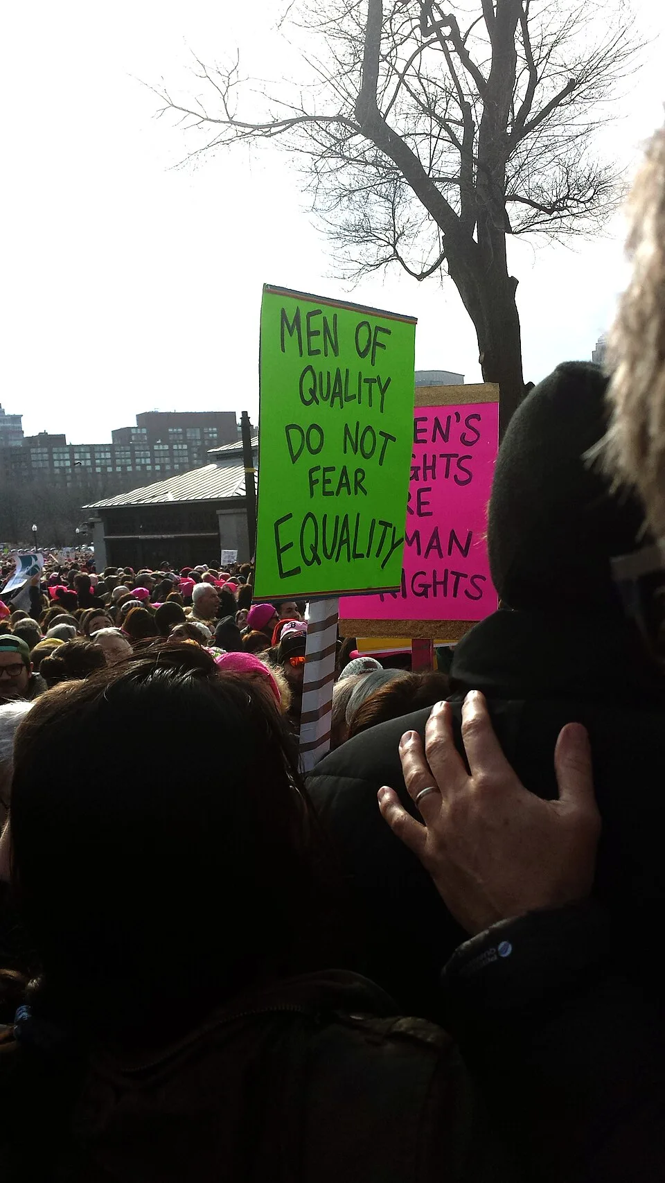 لافتة احتجاج مكتوب عليها «Men of quality do not fear equality»