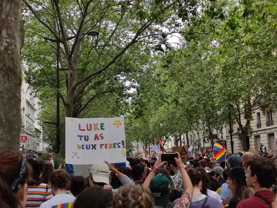 لافتة مظاهرة كُتب عليها «Luke, tu as deux pères»، صُوّرت في Paris, فرنسا.