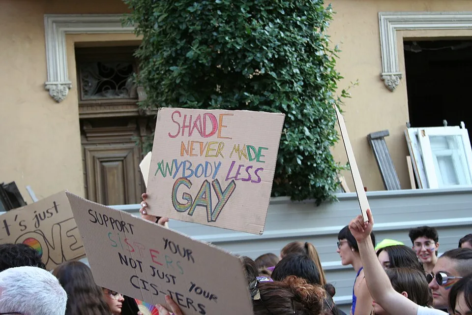 لافتة مظاهرة كُتب عليها «Shade never made anybody less gay»، صُوّرت في Valladolid, إسبانيا.