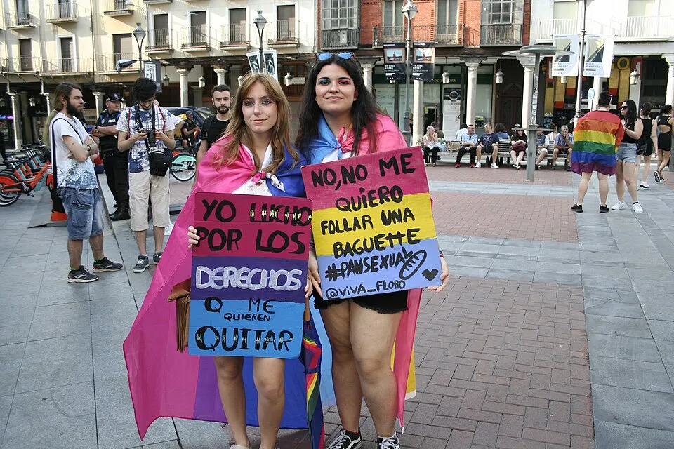 لافتة مظاهرة كُتب عليها «No, no me quiero follar una baguette. #Pansexual»، صُوّرت في Valladolid, إسبانيا.