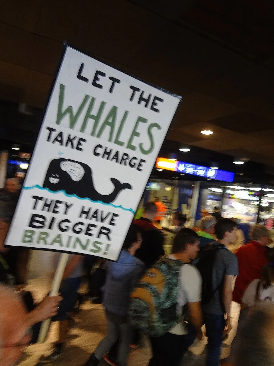 Pancarta con el texto «Let the whales take charge. They have bigger brains!», fotografiada en Bern, Suiza.