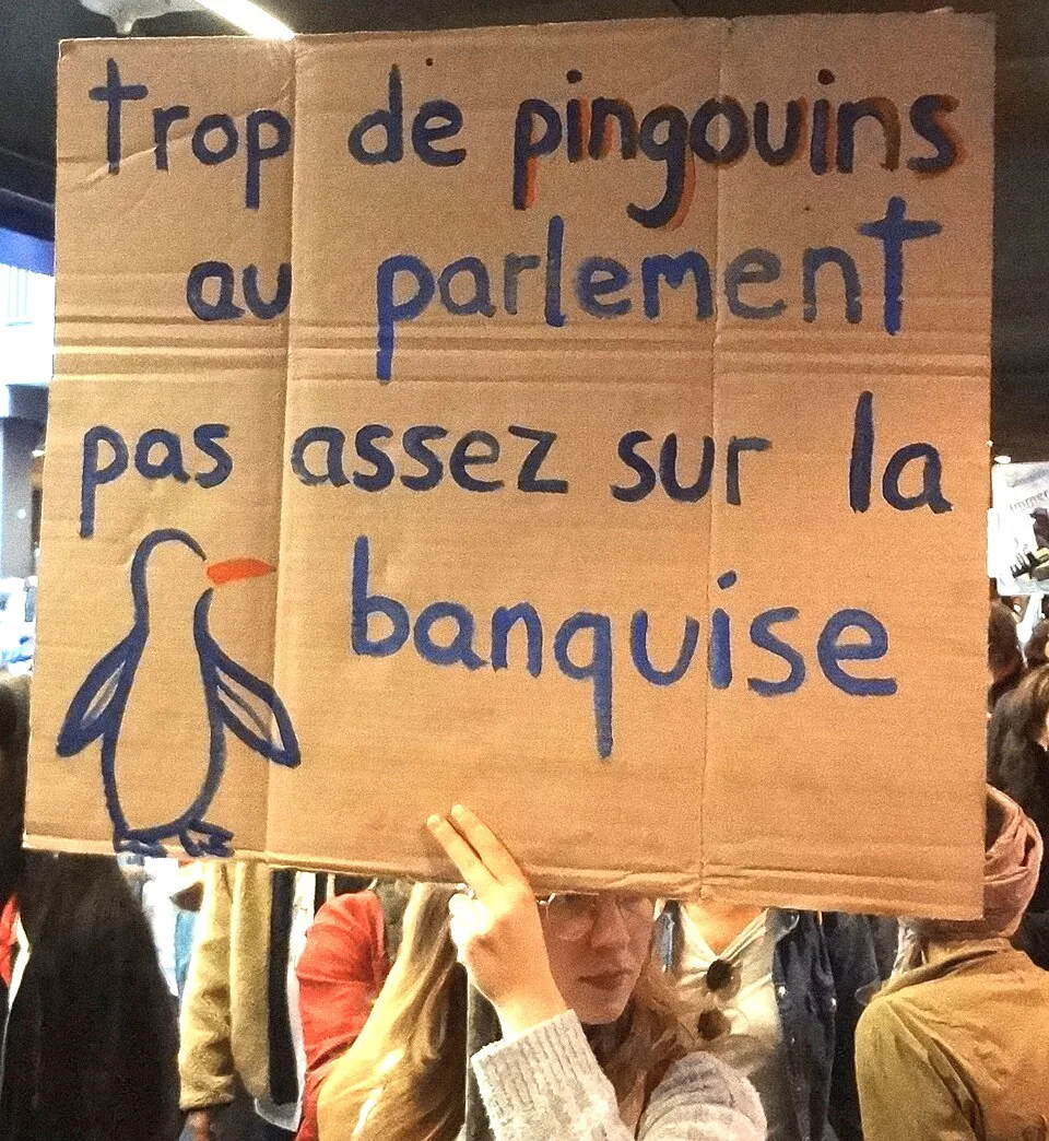 Pancarta con el texto «Trop de pingouins au parlement, pas assez sur la banquise», fotografiada en Bern, Suiza.