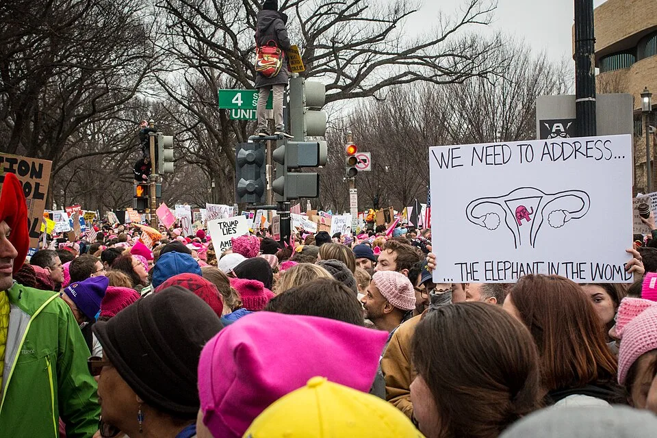 لافتة مظاهرة كُتب عليها «We need to address the elephant in the womb»، صُوّرت في Washington, الولايات المتحدة.