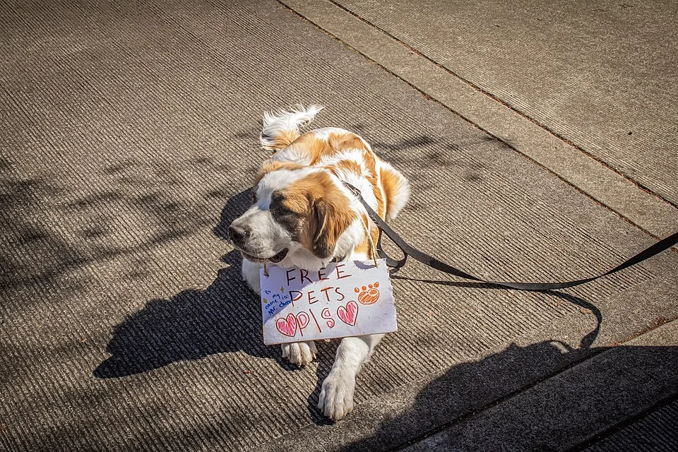 لافتة مظاهرة كُتب عليها «Free pets»، صُوّرت في Portland, الولايات المتحدة.
