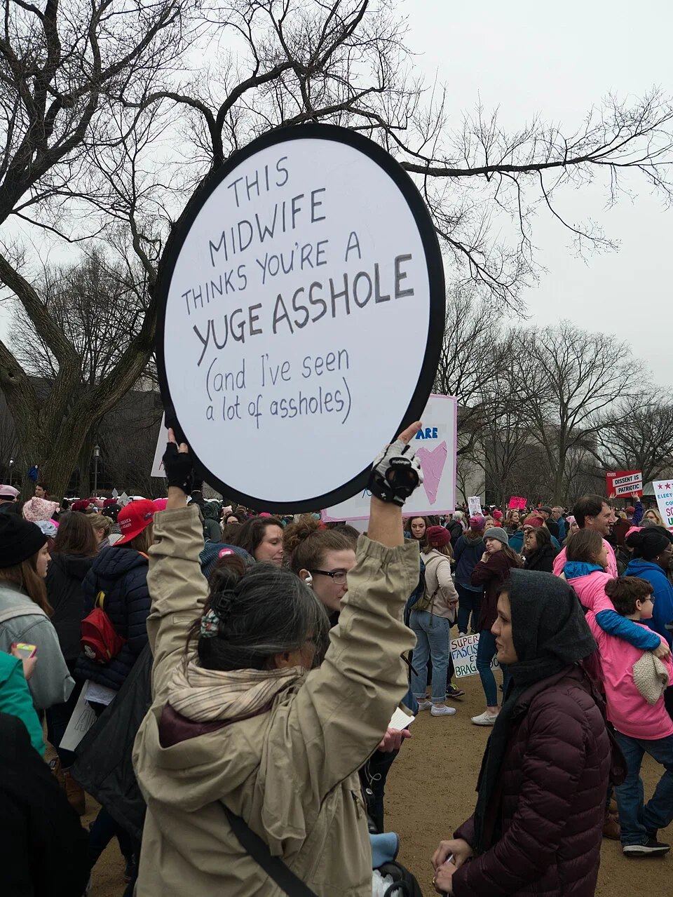 Protest sign reading “This midwife thinks you're a yuge asshole (and I've seen a lot of assholes)”, photographed in Washington, United States.