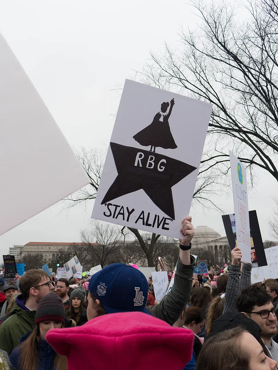 Protest sign reading “RBG, stay alive”, photographed in Washington, United States.