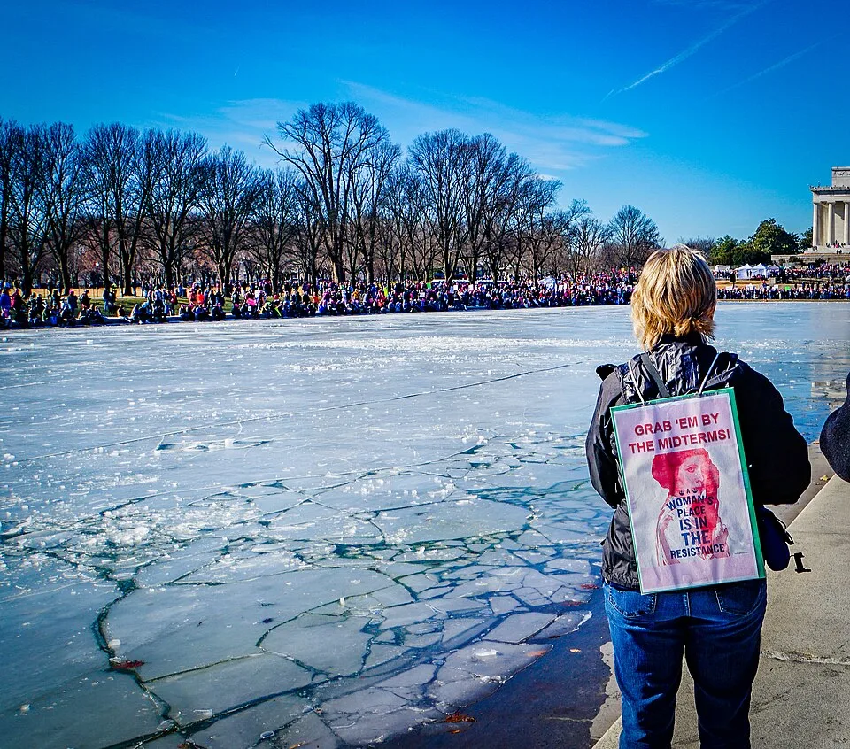 Protest sign reading “Grab 'em by the midterms!”, photographed in Washington, United States.