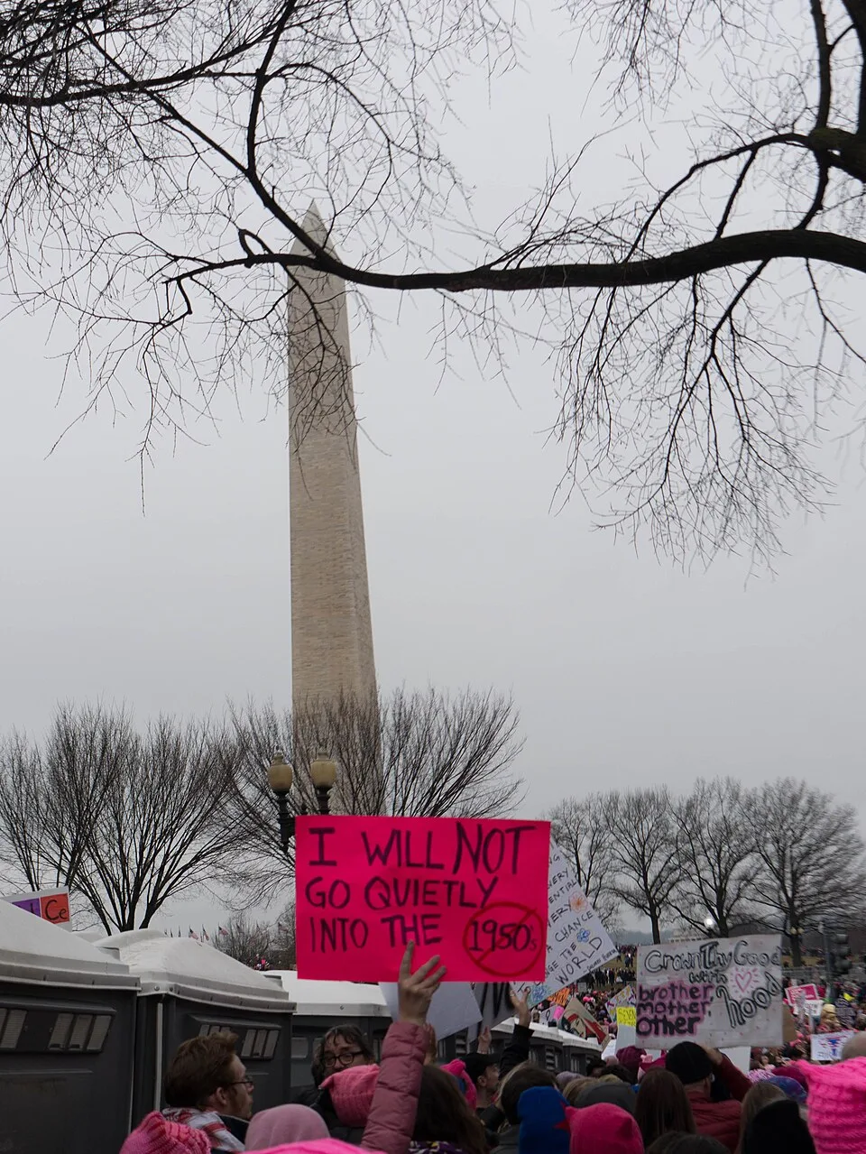 Protest sign reading “I will not go quietly into the 1950s”, photographed in Washington, United States.