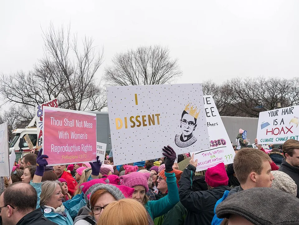 Protest sign reading “Your hair is a hoax, climate change isn't”, photographed in Washington, United States.